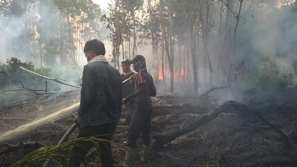 Karhutla di Pulau Rupat Bengkalis Terus Meluas, Sudah Capai 100 Hektare